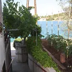By The Sea - Dugi Otok - 441 Appartement *