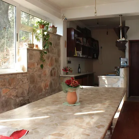 Apartment By The Sea - Dugi Otok - 441 Luka (Dugi Otok)