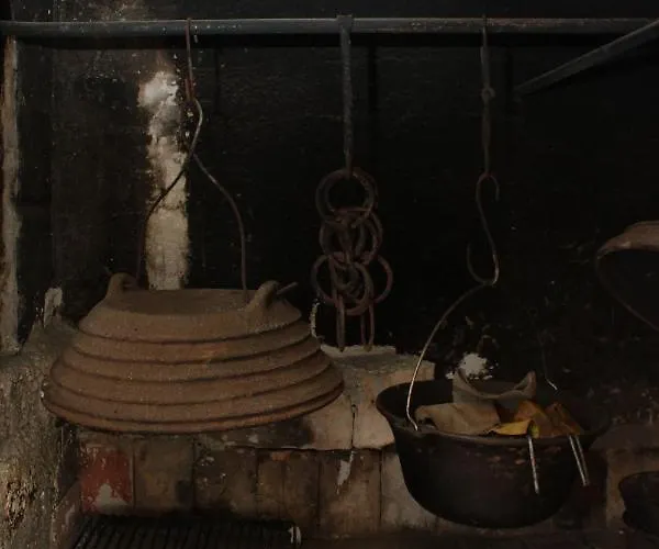 Apartment By The Sea - Dugi Otok - 441