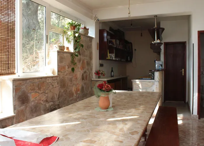 Apartment By The Sea - Dugi Otok - 441 Luka (Dugi Otok)